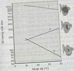 Ba dòng ruồi giấm Drosophila melanogaster khác nhau được kí hiệu 1, 2, 3. Hãy quan sát thông tin trong biểu đồ hình dưới đây và cho biết nhiệt độ càng cao thì số lượng mắt đơn cấu tạo nên mắt kép càng ít đúng với những dòng ruồi nào (viết liền các số tương ứng với các dòng ruồi đó theo thứ tự từ bé đến lớn)? (ảnh 1)