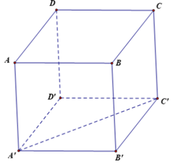 Cho hình lập phương ABCD.A′B′C′D′ có cạnh bằng 1. (ảnh 1)