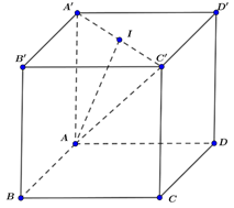 (Đúng hay sai) Cho hình lập phương ABCD.A'B'C'D' cạnh a. Đặt x = AA' + AC'. Độ dài của x bằng a căn 2 (ảnh 1)