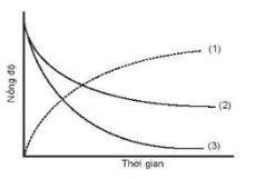 Đồ thị biểu diễn đường cong động học của phản ứng  (ảnh 1)