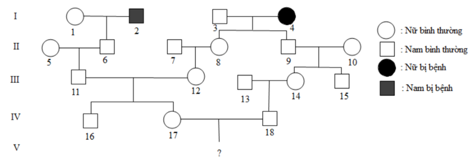 Cho sơ đồ phả hệ trên mô tả sự di truyền một bệnh ở người do gene lặn s quy định, allele tương ứng S không quy định bệnh.     Cho biết bố mẹ của những người II5, II7, II10 và III13 đều không có ai mang allele gây bệnh. Theo lí thuyết, xác suất để cặp bố mẹ IV17 - IV18 sinh một đứa con gái đầu lòng bình thường, con trai sau bị bệnh là bao nhiêu? (ảnh 1)