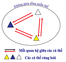 Hình dưới đây mô tả tổ chức sống nào sau đây? (ảnh 1)
