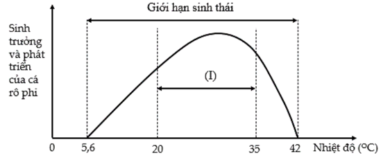 Hình bên mô tả giới hạn sinh thái về nhiệt độ của cá rô phi, trong đó (I) là: (ảnh 1)