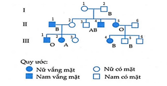 Một cụ bà không may bị tai nạn giao thông khi băng qua đường. Do bị chấn thương ở đầu và mất nhiều máu, bác sĩ yêu cầu gia đình nạn nhân truyền máu gấp cho cụ bà. Được biết thông tin về nhóm máu của gia đình này qua phả hệ như sau, tuy nhiên có một số người trong gia đình vắng mặt, một số khác chưa rõ thông tin về nhóm máu.   Trong gia đình nạn nhân nên đưa người có kí hiệu nào đi truyền máu cho cụ bà (số I.1 trong phả hệ) là thích hợp và nhanh nhất?  (ảnh 1)