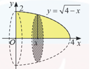 Cho D là hình phẳng giới hạn bởi đồ thị hàm số y = sqrt (4 - x) (ảnh 1)