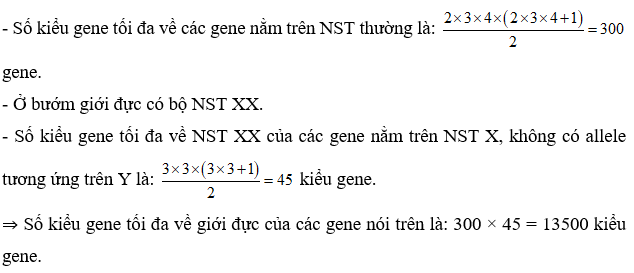 Một quần thể bướm, xét 3 gene cùng nằm trên một NST thường có số allele lần lượt là 2, 3, 4 và 2 gene đều có 3 allele nằm trên vùng không tương đồng của NST X, không có allele tương ứng trên Y. Số kiểu gene tối đa về giới đực của các gene nói trên là bao nhiêu? (ảnh 1)