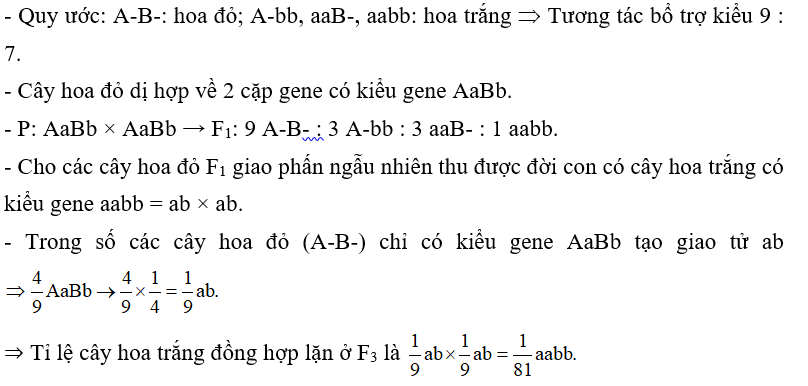 Tính trạng màu hoa do 2 cặp gene quy định (Aa, Bb) tương tác bổ sung. Khi có mặt cả 2 gene trội quy định hoa đỏ, các kiểu gene còn lại quy định hoa trắng. Cho các cây hoa đỏ dị hợp 2 cặp gene tự thụ phấn được F1. Cho các cây hoa đỏ F1 giao phấn ngẫu nhiên. Cho biết không có đột biến xảy ra, tính theo lí thuyết, tỉ lệ cây hoa màu trắng có kiểu gene đồng hợp lặn ở F3 là bao nhiêu? (ảnh 1)