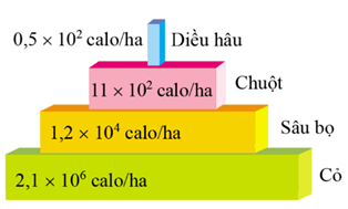 A chart of different colored blocks

AI-generated content may be incorrect.
