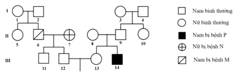 Phả hệ dưới đây mô tả sự di truyền của 3 bệnh M, N và P do 2 cặp gene A, a và B, b nằm trên 2 cặp nhiễm sắc thể thường quy định. Trong đó, kiểu gene có 2 loại allele trội quy định kiểu hình bình thường; kiểu gene chỉ có 1 loại allele trội A quy định bệnh M; kiểu gene chỉ có 1 loại allele trội B quy định bệnh N; kiểu thiếu cả 2 loại allele trội A và B quy định bệnh P.  Theo lí thuyết, xác suất cặp vợ chồng 12 – 13 sinh con đầu lòng bị bệnh P là bao nhiêu? (ảnh 1)