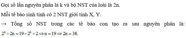 Một tế bào sinh dục đực mang cặp NST giới tính XY nguyên phân một số lần tạo các tế bào con có tổng số NST gấp 19 lần số NST giới tính trong các tế bào con. Xác định bộ NST lưỡng bội của loài? (ảnh 1)