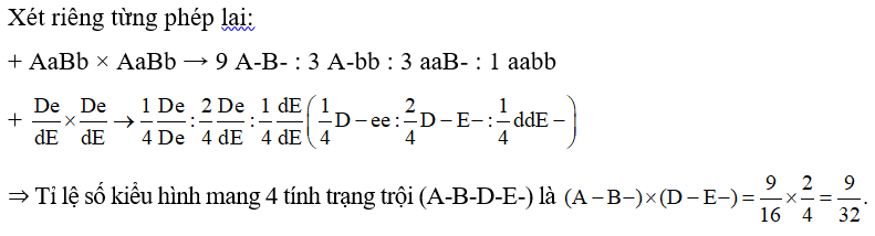 Biết mỗi cặp gene quy định một tính trạng và trội lặn hoàn toàn. Các gene trên NST liên kết hoàn toàn với nhau. Thực hiện phép lai P: AaBb AaBb . Tỉ lệ kiểu hình mang 4 tính trạng trội ở đời con là bao nhiêu? (ảnh 1)