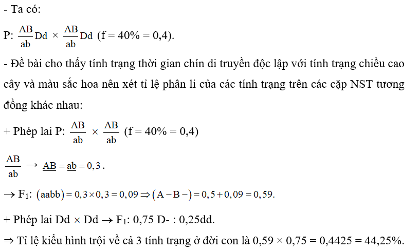 Ở một loài thực vật, allele A quy định thân cao trội hoàn toàn so với allele a quy định thân thấp; allele B quy định hoa đỏ trội hoàn toàn so với allele b quy định hoa trắng; allele D quy định chín sớm trội hoàn toàn so với allele d quy định chín muộn. Cho phép lai   Biết rằng không phát sinh đột biến mới và hoán vị gene xảy ra ở cả hai giới với tần số 40%. Xác định tỉ lệ kiểu hình trội về cả 3 tính trạng ở F1? (ảnh 1)