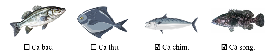 Media VietJack