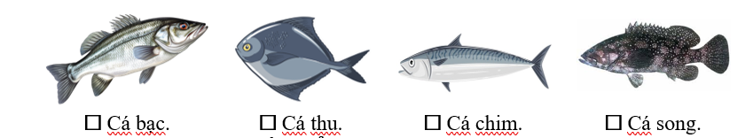 Media VietJack