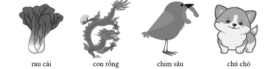 Media VietJack