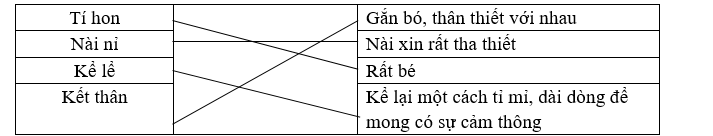Nối từ ở cột bên trái với ý nghĩa phù hợp ở cột bên phải. (ảnh 1)