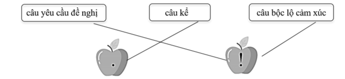 Nối: (ảnh 2)