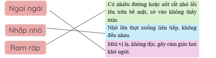 Nối từ với cách giải nghĩa phù hợp. (ảnh 2)