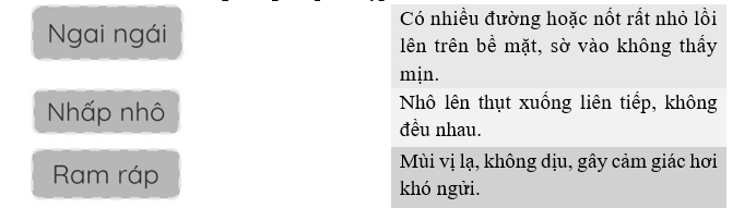 Nối từ với cách giải nghĩa phù hợp. (ảnh 1)