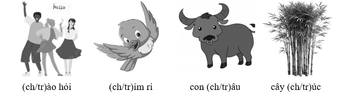 Em hãy gạch chân vào chữ cái phù hợp với các hình dưới đây: (ảnh 1)