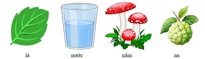 Điền các sự vật có chữ “l” hoặc “n” phù hợp với các hình sau: (ảnh 2)