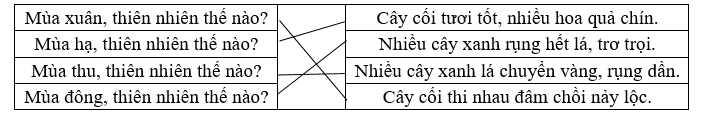 Nối đúng: (ảnh 1)