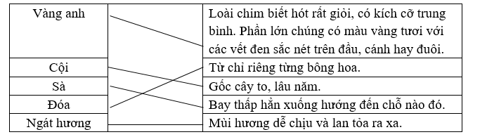 Nối từ với cách giải nghĩa. (ảnh 1)