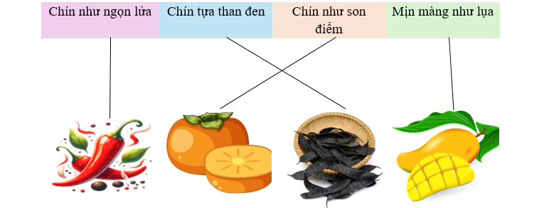 Nối đúng: (ảnh 2)