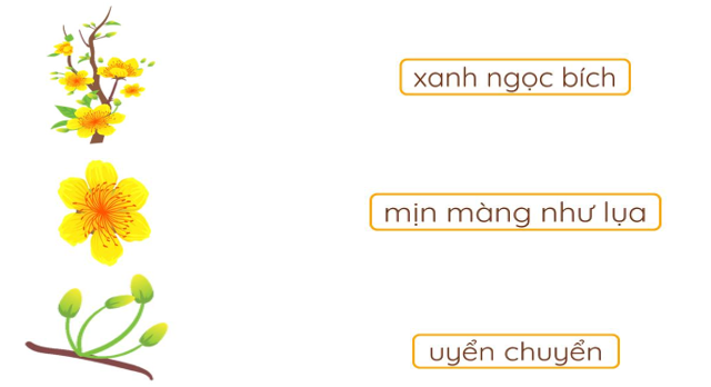 Chọn từ ngữ phù hợp với mỗi hình ảnh. (ảnh 1)