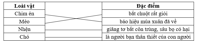 Nối con vật ở cột A với đặc điểm ở cột B cho phù hợp: (ảnh 1)