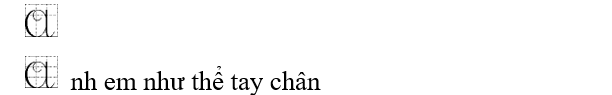 VIẾT: (ảnh 1)