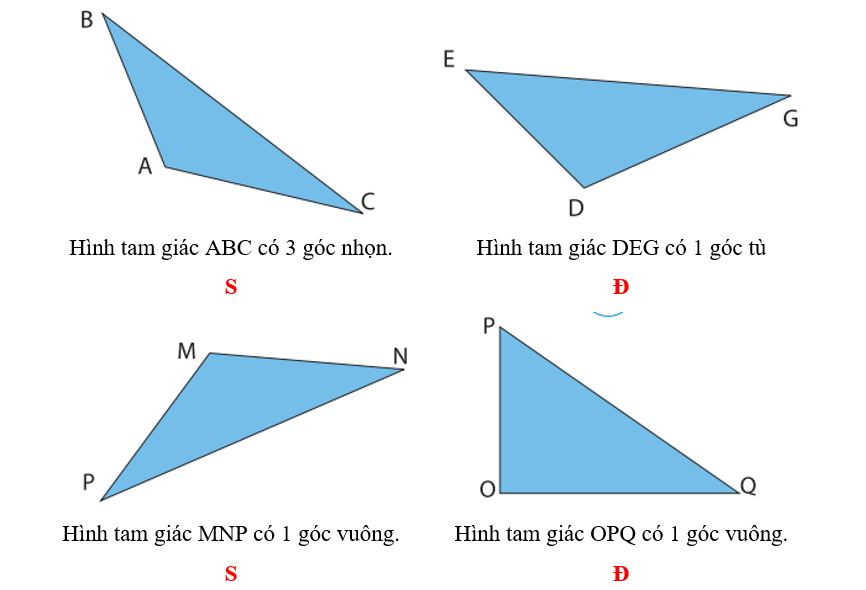Đúng ghi Đ, sai ghi S: (ảnh 2)