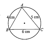 v (ảnh 1)