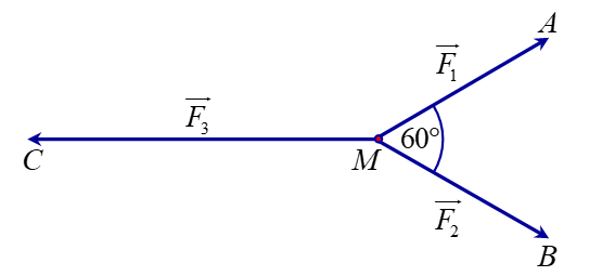 C (ảnh 1)