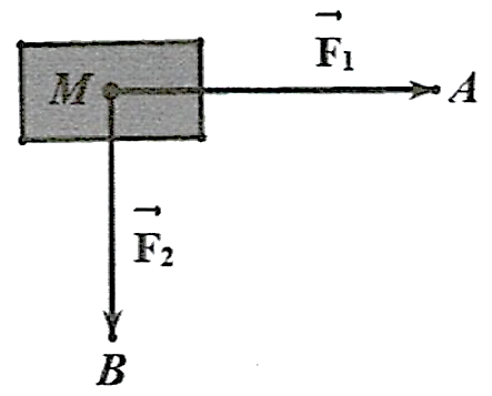 Cường độ của lực tác động lên vật bằng bao nhiêu Newton? (ảnh 1)