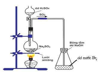Hiện tượng xảy ra trong bình eclen (bình tam giác) chứa dung dịch nước Br2 là (ảnh 1)