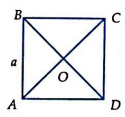 V (ảnh 1)