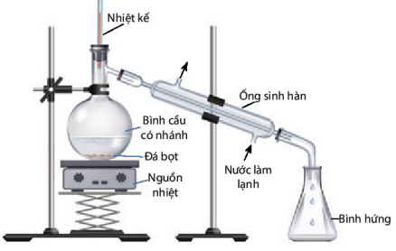 Số phát biểu đúng là  (ảnh 1)