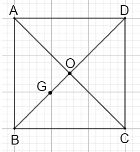 v (ảnh 1)