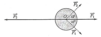 v (ảnh 1)