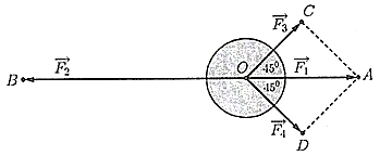 v (ảnh 2)