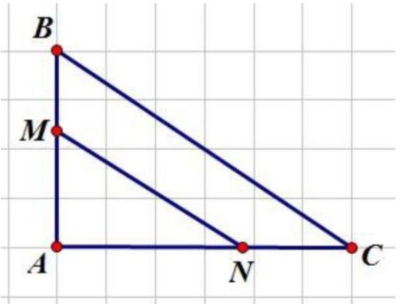 Tính diện tích AMN? (ảnh 1)