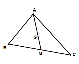 V (ảnh 1)