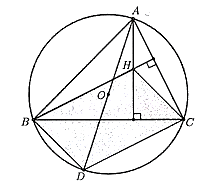 c (ảnh 1)