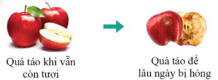 A close-up of a fruit

AI-generated content may be incorrect.