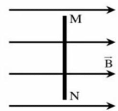 Như hình bên dưới, trong một từ trường đều có B = 0,04 T, một đoạn dây thẳng MN dài 20 cm mang dòng điện được đặt vuông góc với đường sức từ. Lực từ t (ảnh 1)