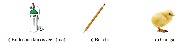 Trong các phát biểu sau, phát biểu nào đúng, phát biểu nào sai? a. Bình chứa khí oxygen, bút chì, con gà đều là các vật thể. b. Bình chứa khí oxygen, con gà là vật thể tự nhiên (ảnh 1)