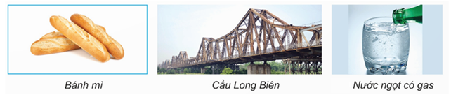 Trong các phát biểu sau, phát biểu nào đúng, phát biểu nào sai? a. Bánh mì, cầu Long Biên, nước ngọt có gas là các vật thể tự  (ảnh 1)