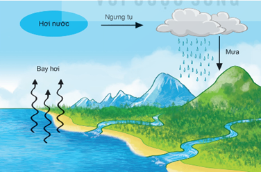 Cho sơ đồ vòng tuần  (ảnh 1)