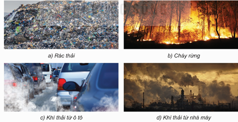 Cho các hình ảnh sau:   Trong các phátgười. (ảnh 1)
